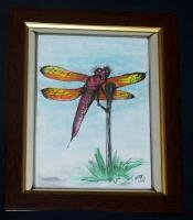 Insects - Clown Dragonfly - Watercolors